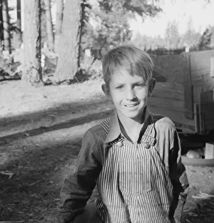 Bean pickers child, near West Stayton, Marion County, Oregon, 1939. Creator: Dorothea Lange