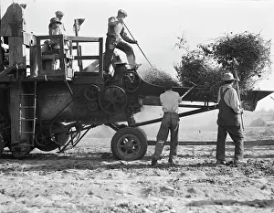 Threshing Prints: Bean thresher, mechanized agriculture between Turlock and Merced