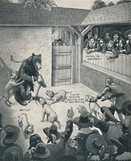 'Bear-Baiting in a Stuart Bear Pit', c1934. Artist: Unknown 'Bear-Baiting in a Stuart Bear Pit', c1934. Artist: Unknown