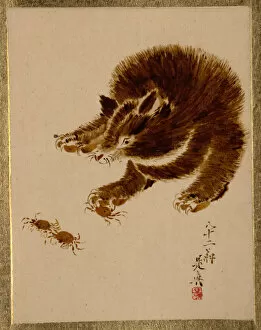 Shibata Gallery: Bear and Crabs. Creator: Shibata Zeshin