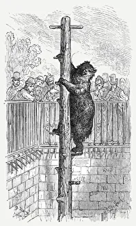 The Bear Pit - Zoological Gardens, 1872. Creator: Gustave Doré