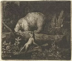 Caught Collection: The Bear with His Snout and Forepaws Caught in the Trunk of a Tree, mid-17th century