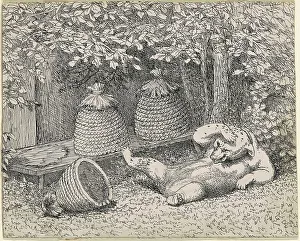 Bees Prints: Bear Stung by Bees, 1865-1895. Creator: William Holbrook Beard