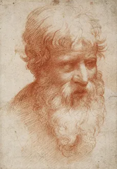 Parmigianino 1503 1540 Prints: Bearded mans head, c. 1525