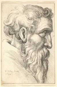 Bearded old man in profile to right, 1645. Creator: Wenceslaus Hollar