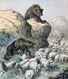 Rocky Prints: Bears of the Cagyre, 1891. Artist: F Meaulle