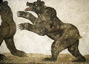 Wild Animal Prints: Bears Fighting, detail of Roman floor mosaic, from Utica, Tunisia, c3rd century