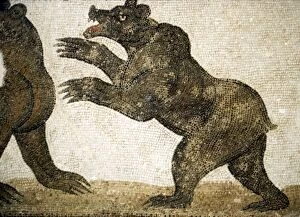 Hind Leg Gallery: Bears Fighting, detail of Roman floor mosaic, from Utica, Tunisia, c3rd century
