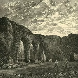 Cistercian Collection: Beaulieu Abbey, 1898. Creator: Unknown
