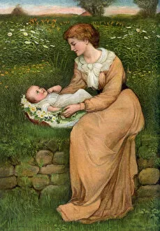 Brewer Collection: A Bed of Daisies, 1905. Artist: Alphage Brewer