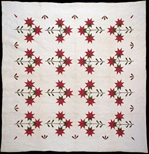 Bedcover (North Carolina Lily Quilt), United States, c.1850. Creator: Unknown