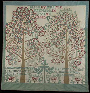 Laid Work And Couching Prints: Bedcover, United States, 1877/78. Creator: M. E. Mohortor