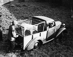 Fencing Prints: Bedford 6cwt utility wagon, 1938