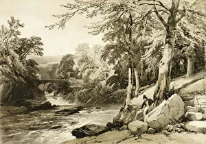 Images Dated 10th February 2022: Beech and Ash on the Greta, from The Park and the Forest, 1841
