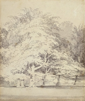Turner Joseph Mallord William Prints: Beech Trees, 1795-1797. Creator: JMW Turner