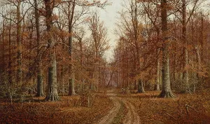 Beech Trees, date unknown. Creator: William M Snyder