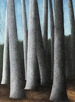 Leon 1881 1946 Prints: Beech Trees Trunks, 1945. Creator: Spilliaert, Leon (1881-1946)