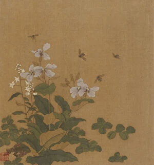 Images Dated 20th August 2021: Bees hovering over flowers, Qing dynasty, 18th century. Creator: Unknown