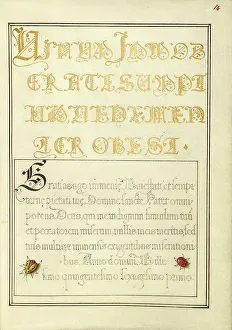 Beetlelike Insects; Mira calligraphiae monumenta, 1561-1562; illumination added 1591-1596. Creator: Joris Hoefnagel