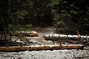 Pacific North West Prints: Where it Begins. Creator: Joshua Johnston