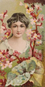 Duke W Sons Co Prints: Begonia: Originality, from the series Floral Beauties and Language of Flowers (N75