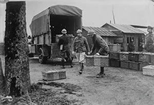 Baskets Prints: Belgian Army pigeons, between c1915 and c1920. Creator: Bain News Service