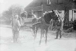 Sentry Prints: Belgian peasants showing pass to sentries
