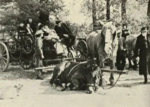 Bt Batsford Ltd Gallery: Belgian Refugees on the Road, 1939-1940, (1941). Creator: Unknown