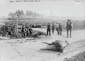 Burying Prints: Belg.[i.e. Belgium], burying horses after battle, 1914. Creator: Bain News Service
