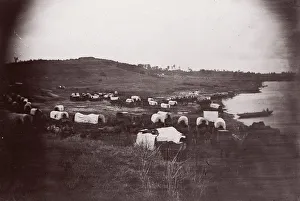 Belle Plain, Virginia, 1864. Creators: James Gardner, Tim O Sullivan