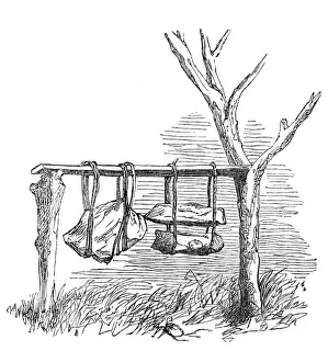 Acacia Prints: Bells of musical stone, 1868. Creator: Unknown