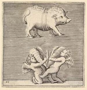 Veneziano Battista Franco Gallery: A Belted Pig and Two Cupids (or Geniuses) with a Butterfly (or Moth), published ca