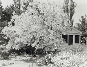 Belvoir, Fairfax Harrison house, Star Route 709, The Plains, Fauquier County, Virginia, 1928. Creator: Frances Benjamin Johnston. Belvoir, Fairfax Harrison house, Star Route 709, The Plains, Fauquier County, Virginia, 1928