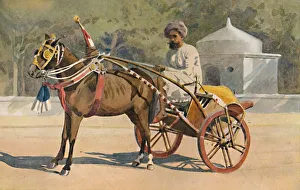 A Benares Ekka, c1880 (1905). Artist: Alexander Henry Hallam Murray