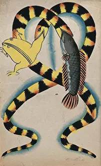 Predator Prints: A Bengali proverb: two watersnakes swallowing fish and frog. Creator: Unknown