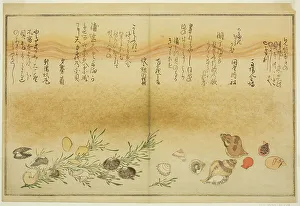 Double Page Prints: Beni-gai, hora-gai, urauzu-gai