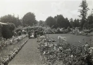 Lantern Slides 1920 1930 Gmgpc Prints: Benvenuto, Robert Pim Butchart house