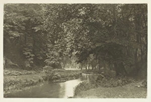 In Beresford Dale, 1880s. Creator: Peter Henry Emerson