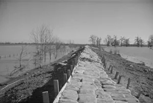 The Bessie Levee augmented with sand bags, near Tiptonville, Tennessee, 1937. Creator: Walker Evans The Bessie Levee augmented with sand bags, near Tiptonville, Tennessee, 1937. Creator: Walker Evans