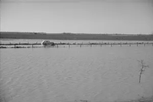 The Bessie Levee augmented with sand bags, near Tiptonville, Tennessee, 1937. Creator: Walker Evans