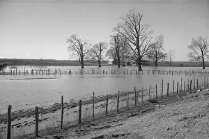 Sandbags Prints: The Bessie Levee, along a subsid