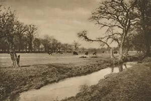 Brook Collection: Where Beverley Brook Winds Through The Royal Hunting Park of Richmond, c1935. Creator: Joel
