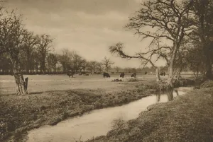 Brook Collection: Where Beverley Brook Winds Through The Royal Hunting Park of Richmond, c1935. Creator: Joel
