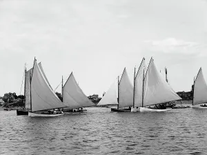 Regatta Prints: Beverly Regatta, June 28, 1890, 1890 June 28. Creator: Unknown