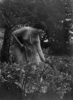 Beyer, Hilda, Miss, picking flowers in a garden, 1915 Apr. 26. Creator: Arnold Genthe