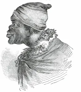 Racist Prints: Bhutchuana Waggon Leader, 1850. Creator: Unknown