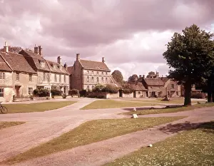 Grass Prints: Biddestone, Wiltshire, c1955. Creator: Arthur Charles Kirby Ware