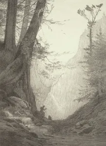 Big Cedars, 1923. Creator: Bolton Coit Brown