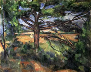 A Big Pine Tree near Aix, 1895-1897. Artist: Paul Cezanne