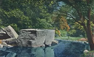 Curteich Chicago Collection: Big Rock, Cherokee Park, 1942. Artist: Caufield & Shook